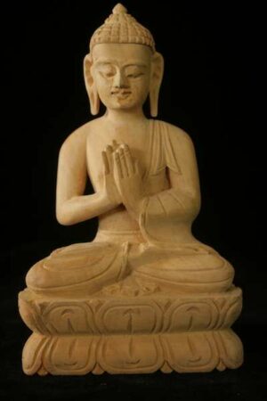 Vairocana Buddha statue 20cm