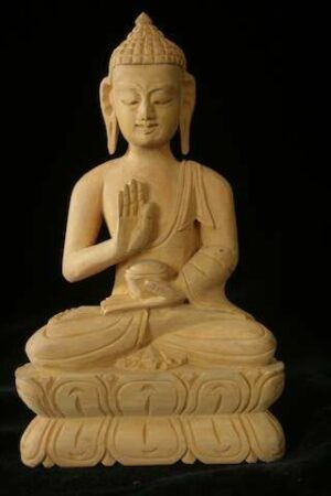 Amoghasiddhi Buddha statue 20cm