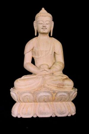 Amitabha Buddha statue 20cm