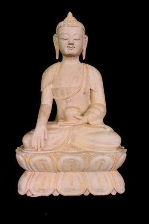 Akshobya Buddha statue 20cm