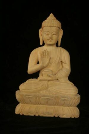 Amoghasiddhi Buddha statue 15cm