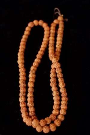 Rudra Bead Mala 6mm