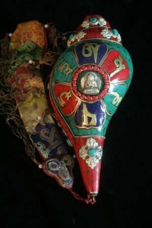 CONCH with MIXED STONE INLAY