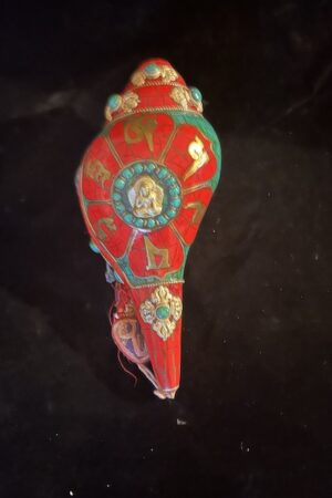 CONCH with STONE INLAY