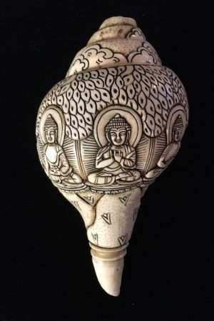 Five Buddha carved conch shell