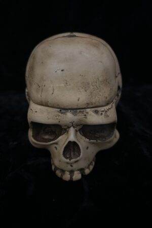 SKULL KAPALA RESIN 10cm
